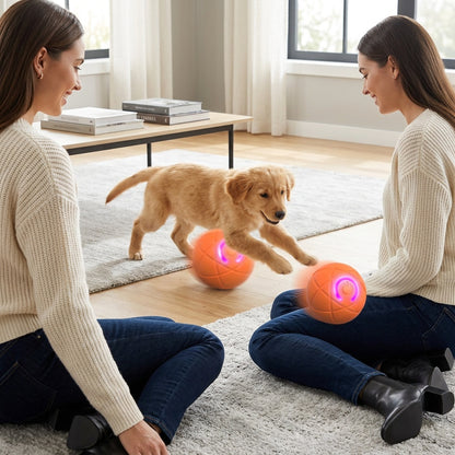 Interactive Rolling Ball Toy